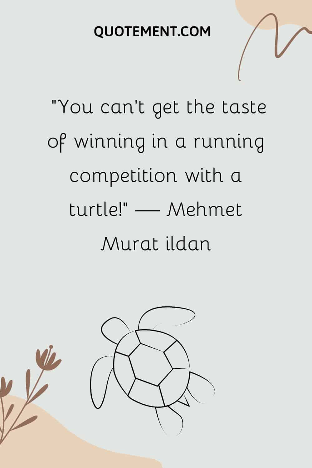 You can’t get the taste of winning in a running competition with a turtle