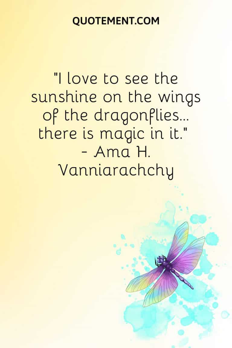 70 Enchanting Dragonfly Quotes For Wisdom And Inspiration