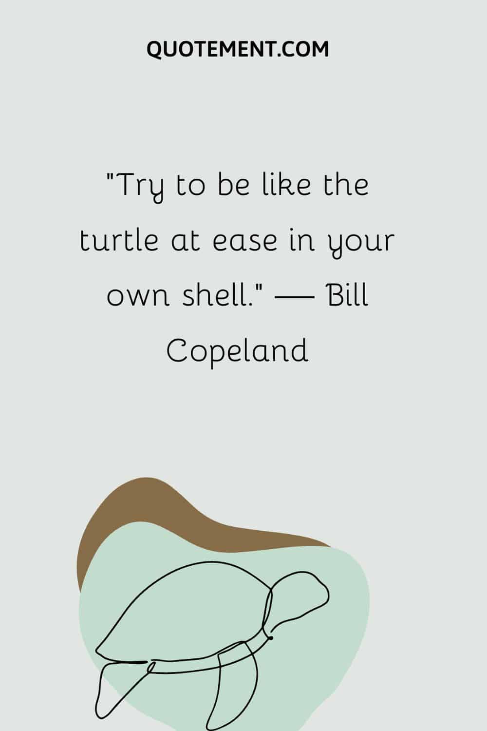 sea turtle illustration representing turtle quote
