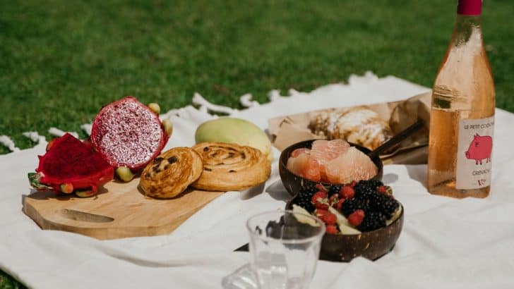 80 mejores frases de picnic para enamorarte de la vida