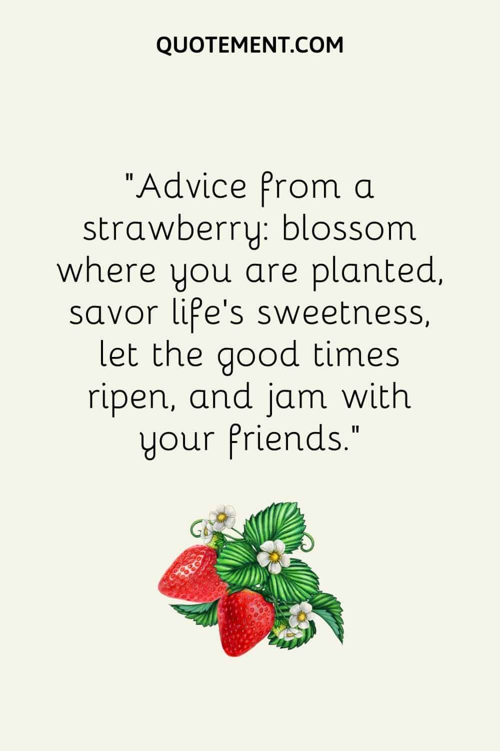 Advice from a strawberry blossom where you are planted, savor life’s sweetness, let the good times ripen, and jam with your friends