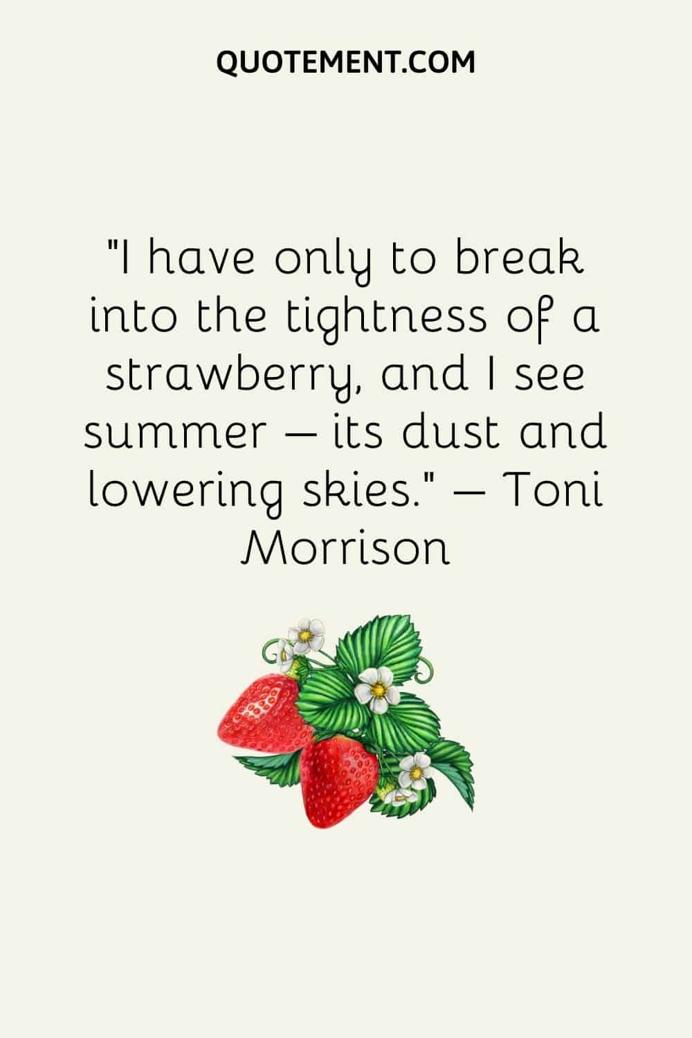 I have only to break into the tightness of a strawberry, and I see summer – its dust and lowering skies