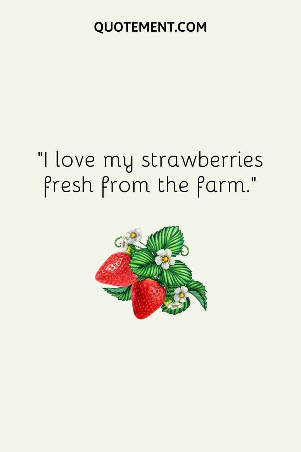 I love my strawberries fresh from the farm