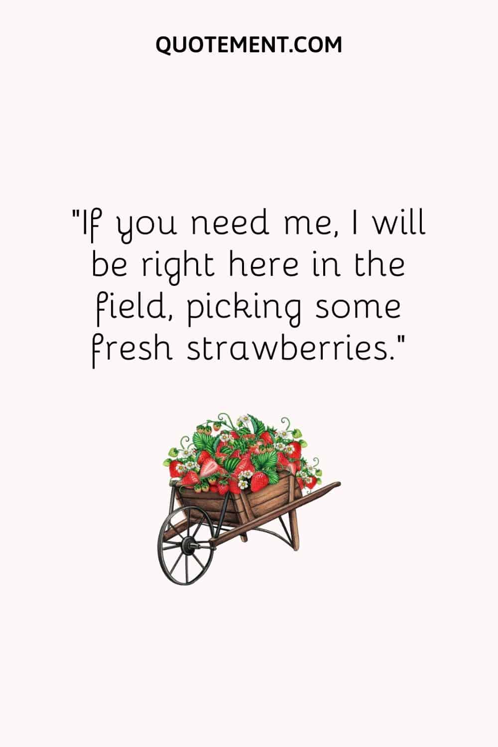 If you need me, I will be right here in the field, picking some fresh strawberries