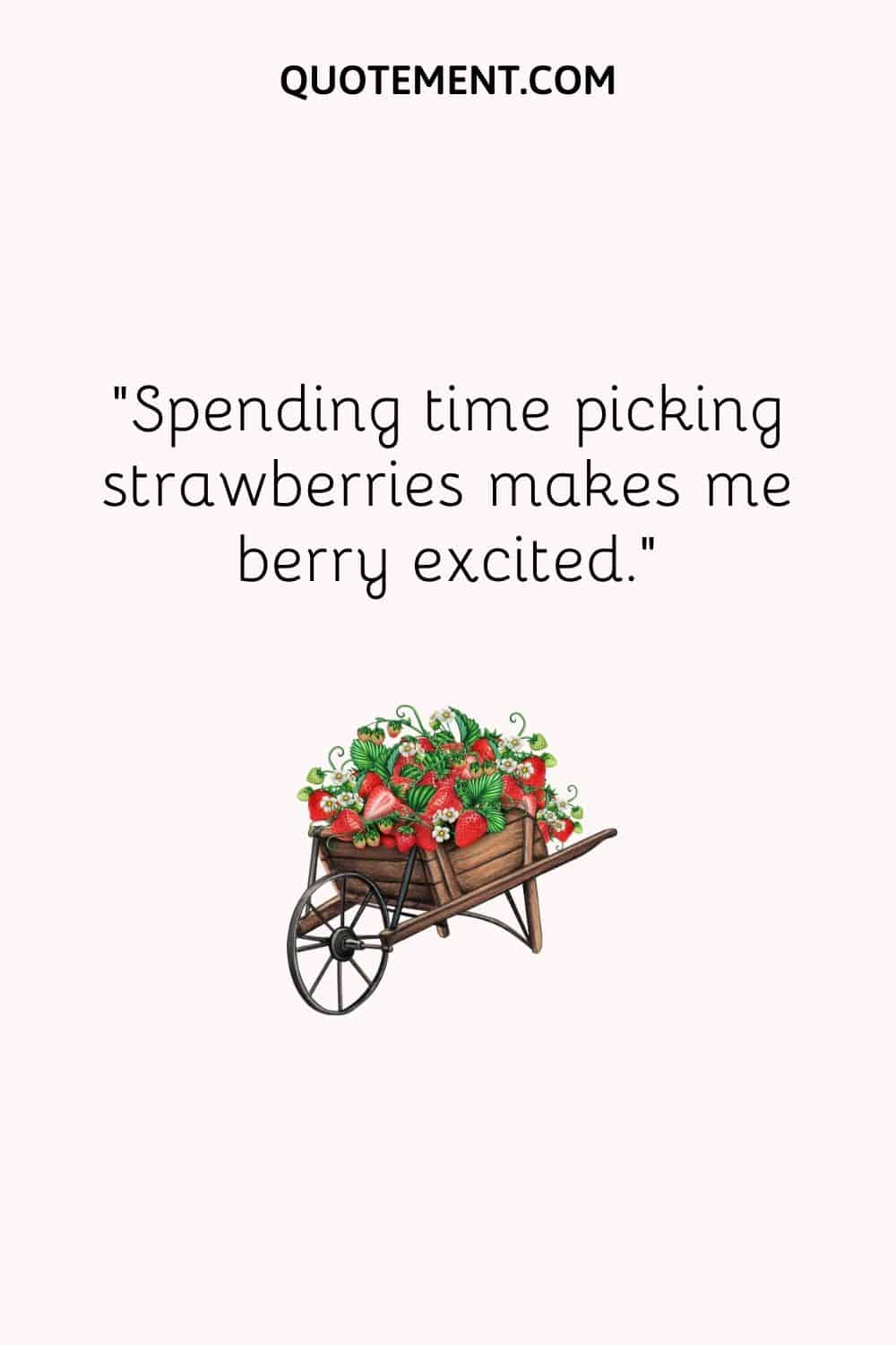 Spending time picking strawberries makes me berry excited.
