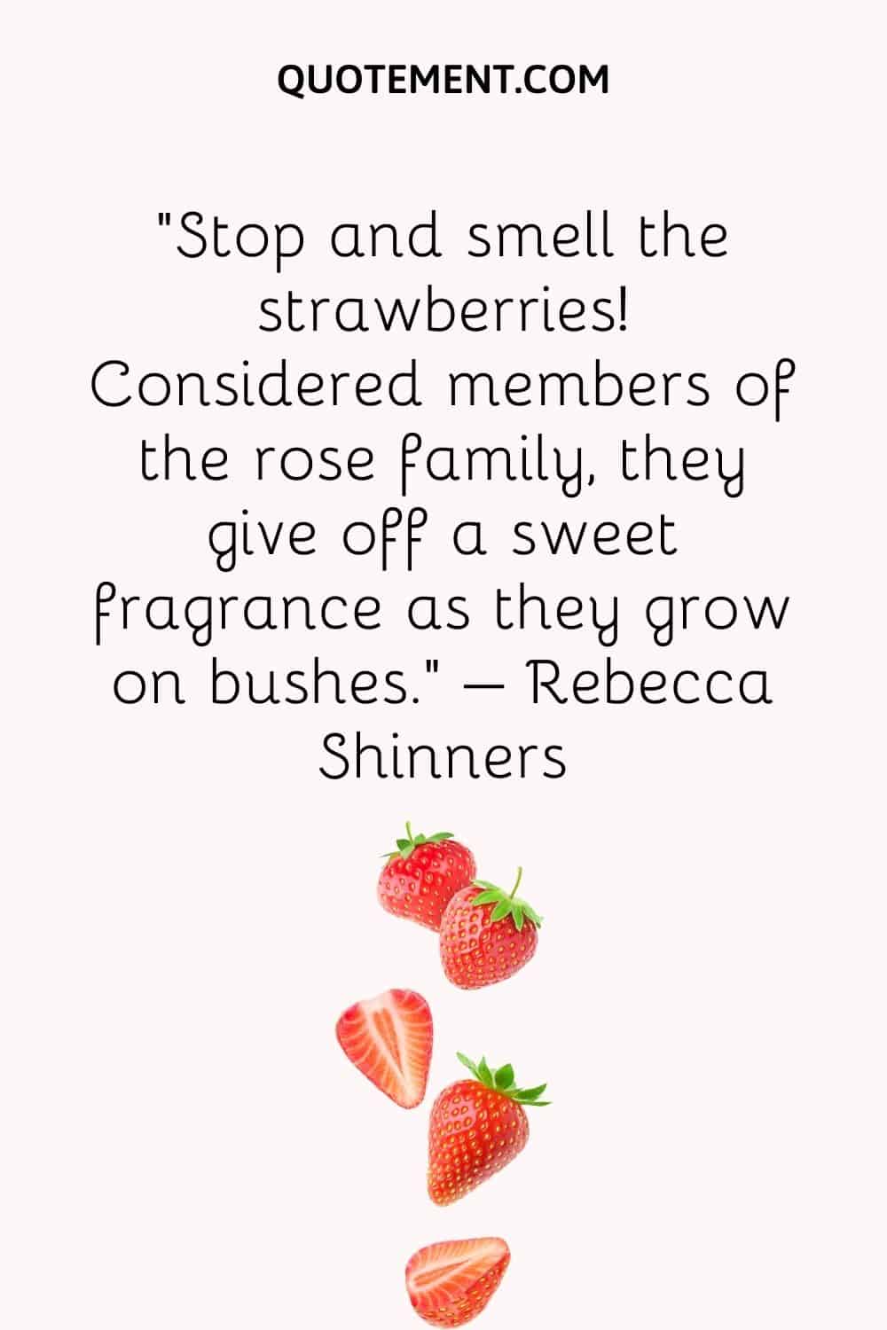 Detente y huele las fresas