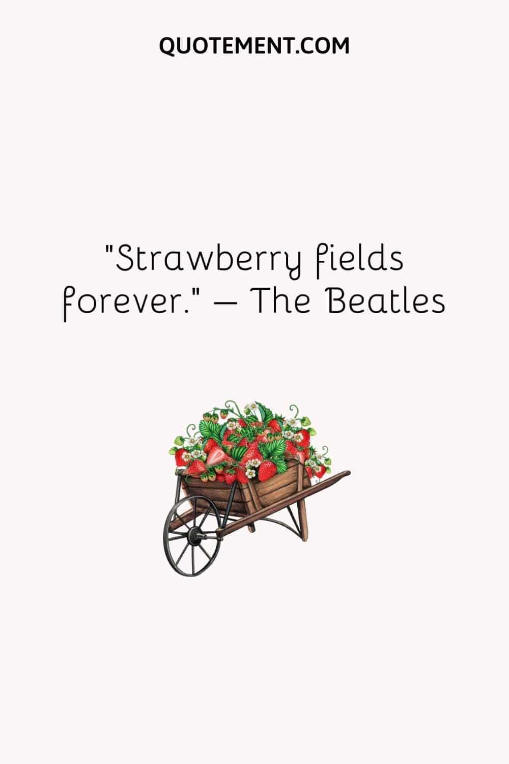 Campos de fresas para siempre