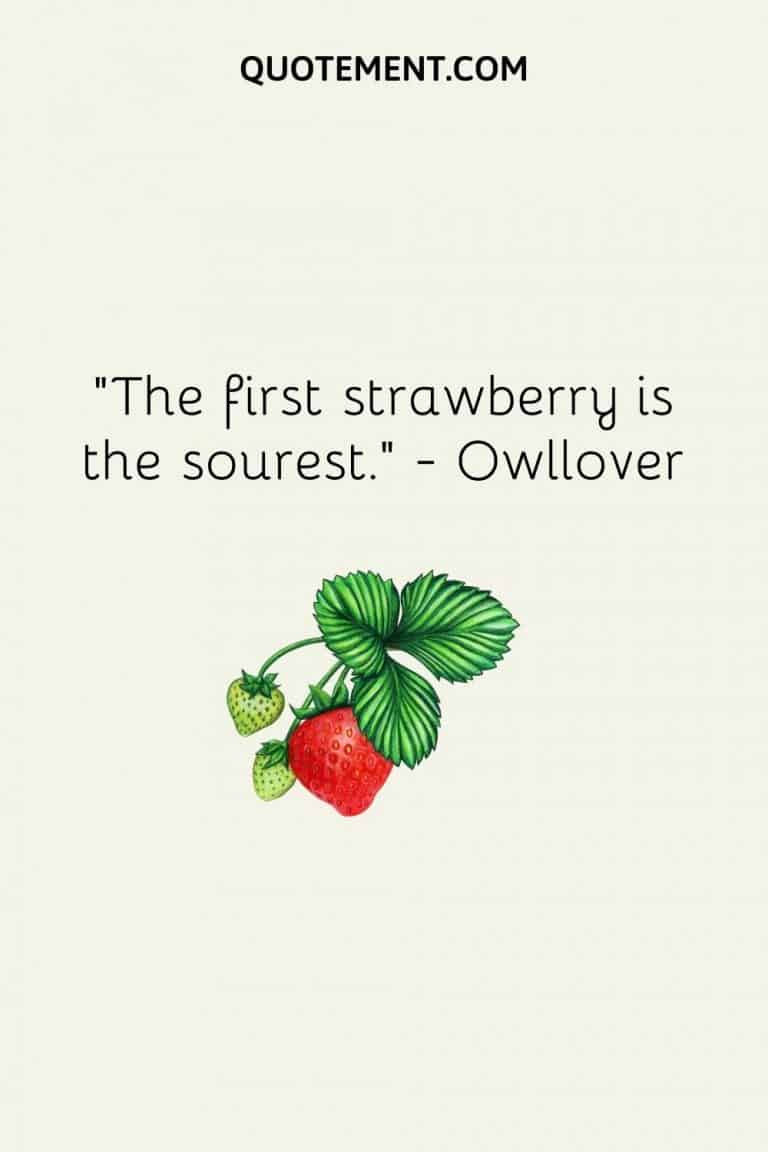 top-200-sweetest-strawberry-quotes-to-brighten-your-day