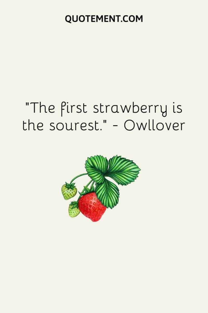 Top 200 Sweetest Strawberry Quotes To Brighten Your Day