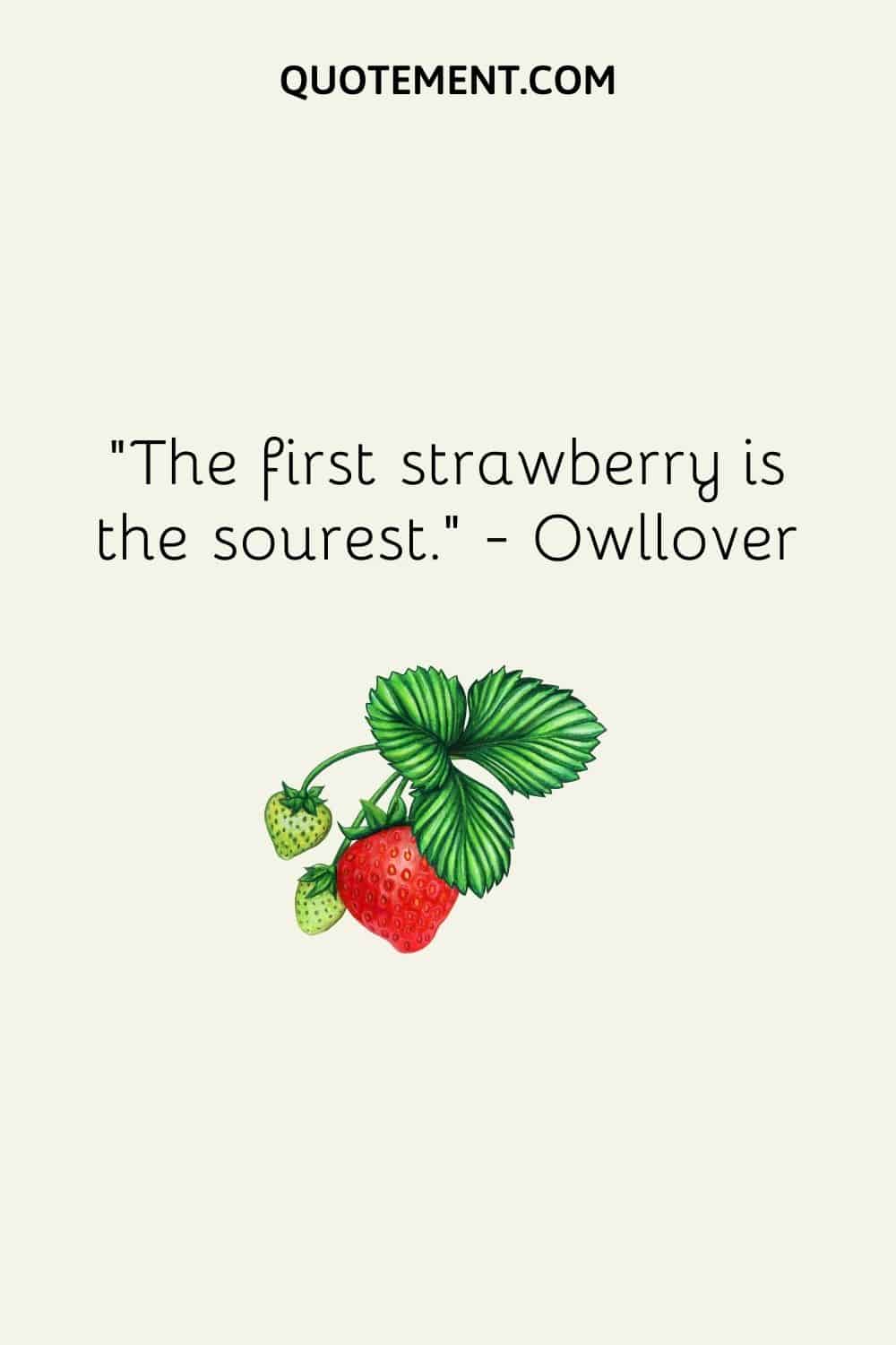 The first strawberry is the sourest