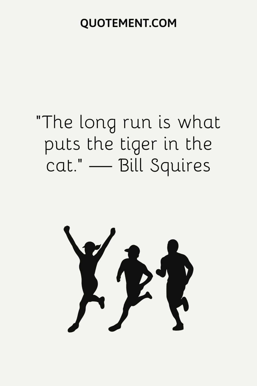 The long run is what puts the tiger in the cat