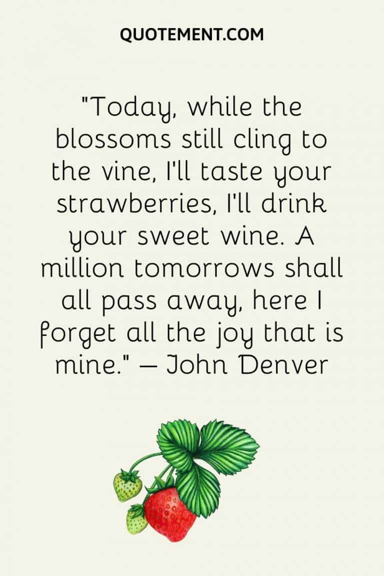 Top 200 Sweetest Strawberry Quotes To Brighten Your Day