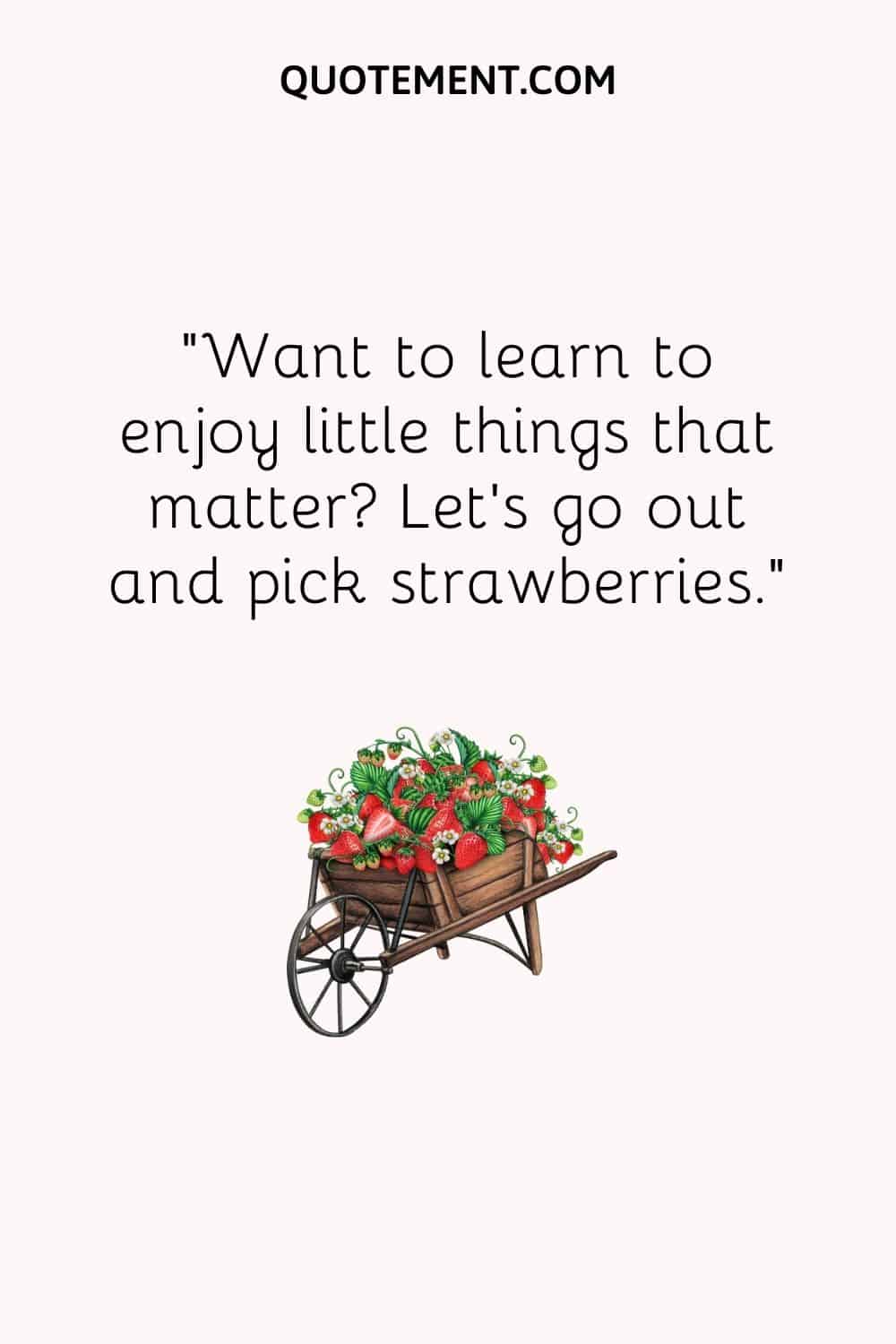 Want to learn to enjoy little things that matter Let’s go out and pick strawberries