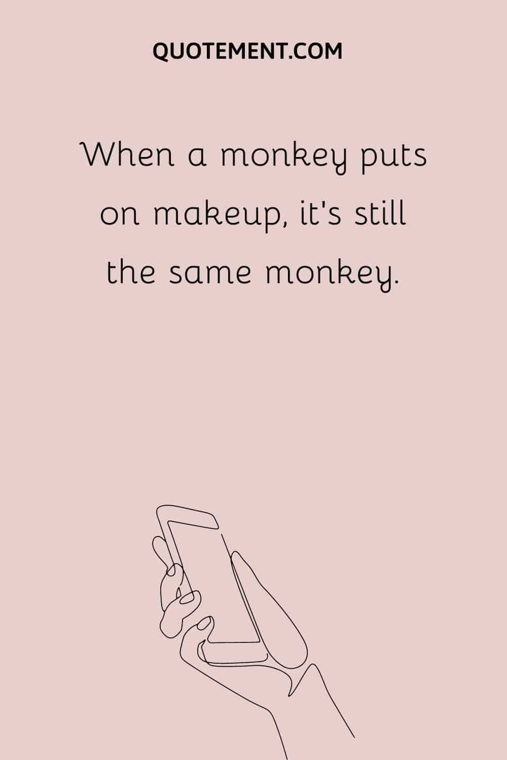 When a monkey puts on makeup, it’s still the same monkey