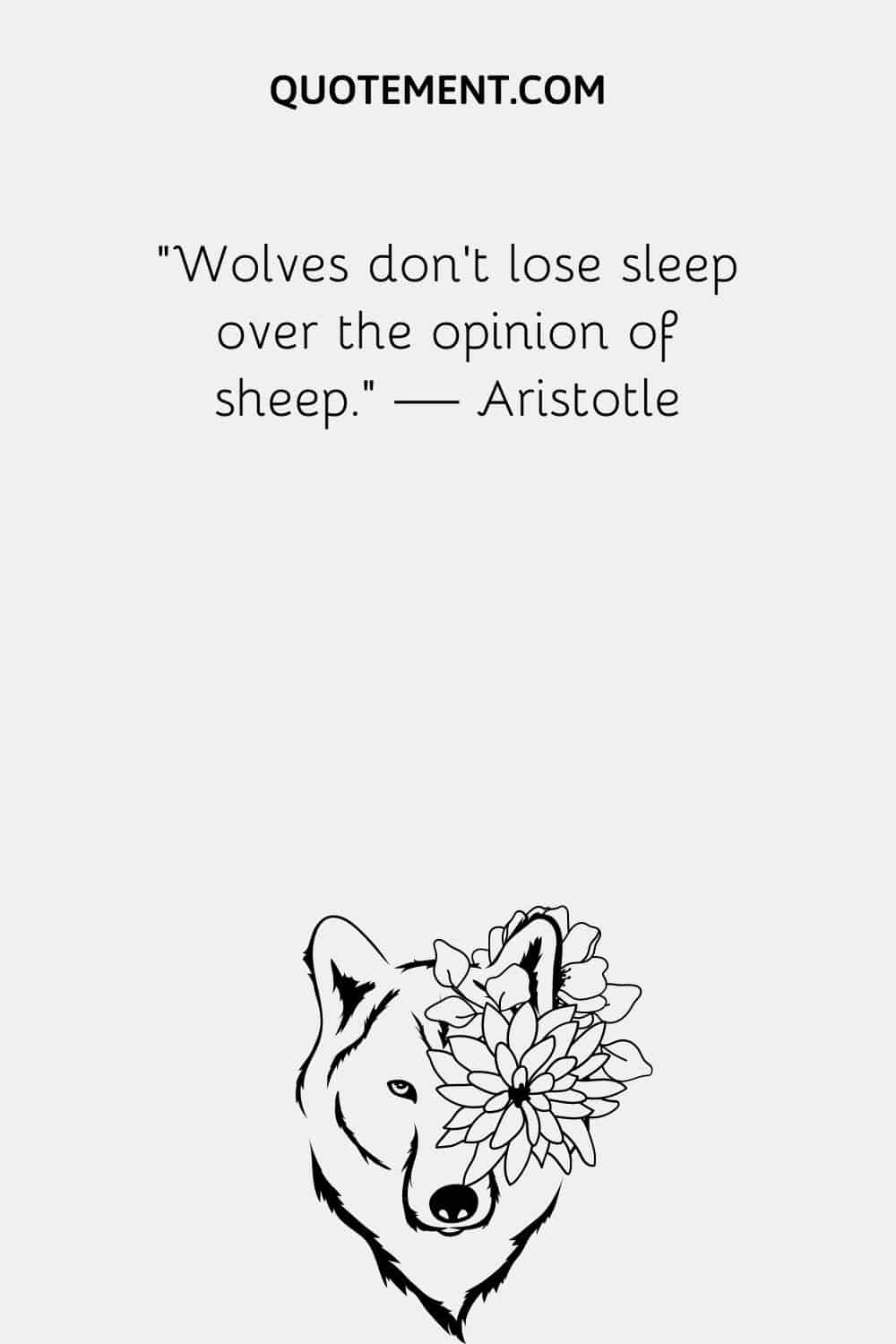 Wolves don’t lose sleep over the opinion of sheep