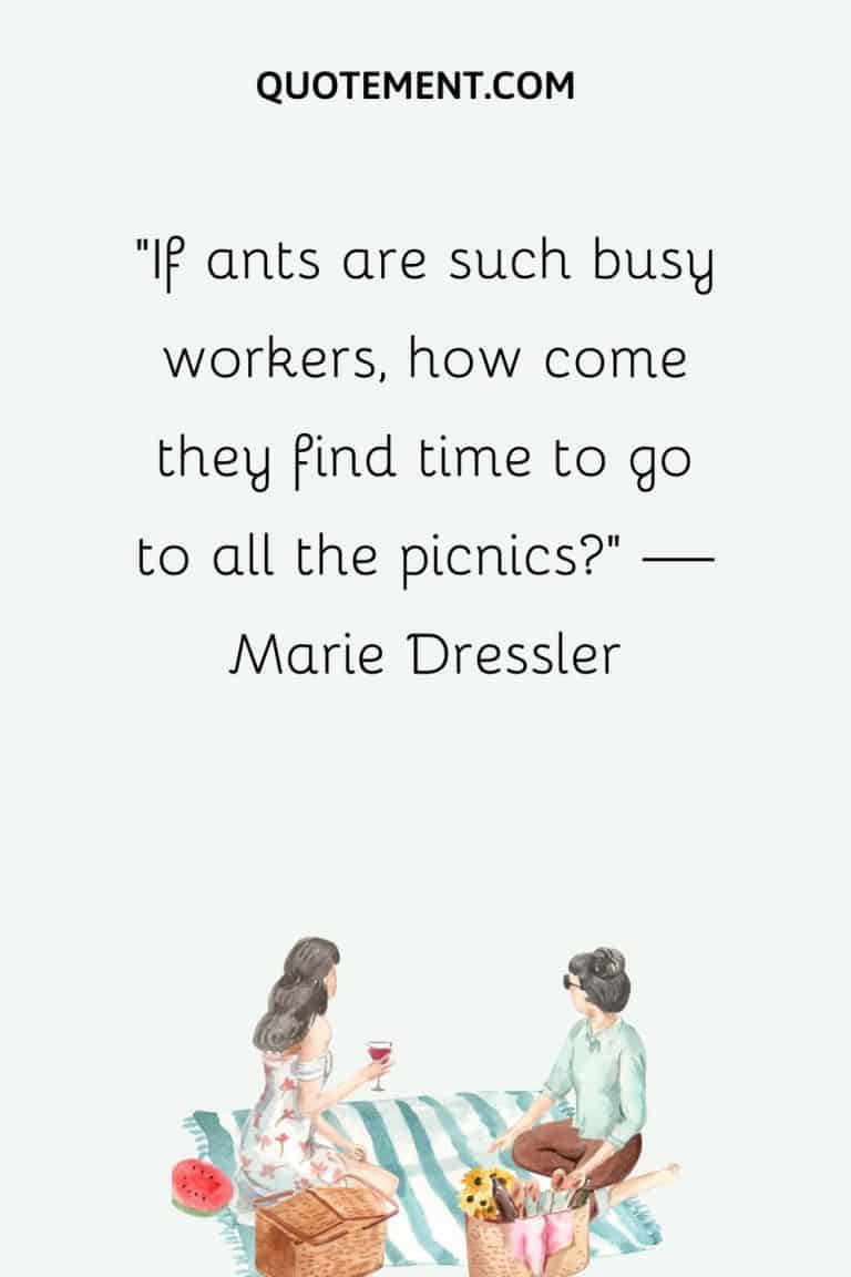 80 Best Picnic Quotes To Make You Fall In Love With Life