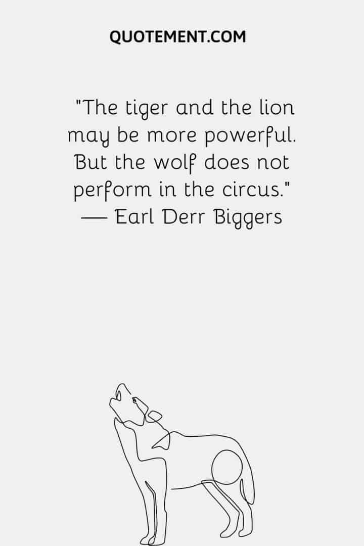 120 Best Lone Wolf Quotes To Embrace Your Authenticity