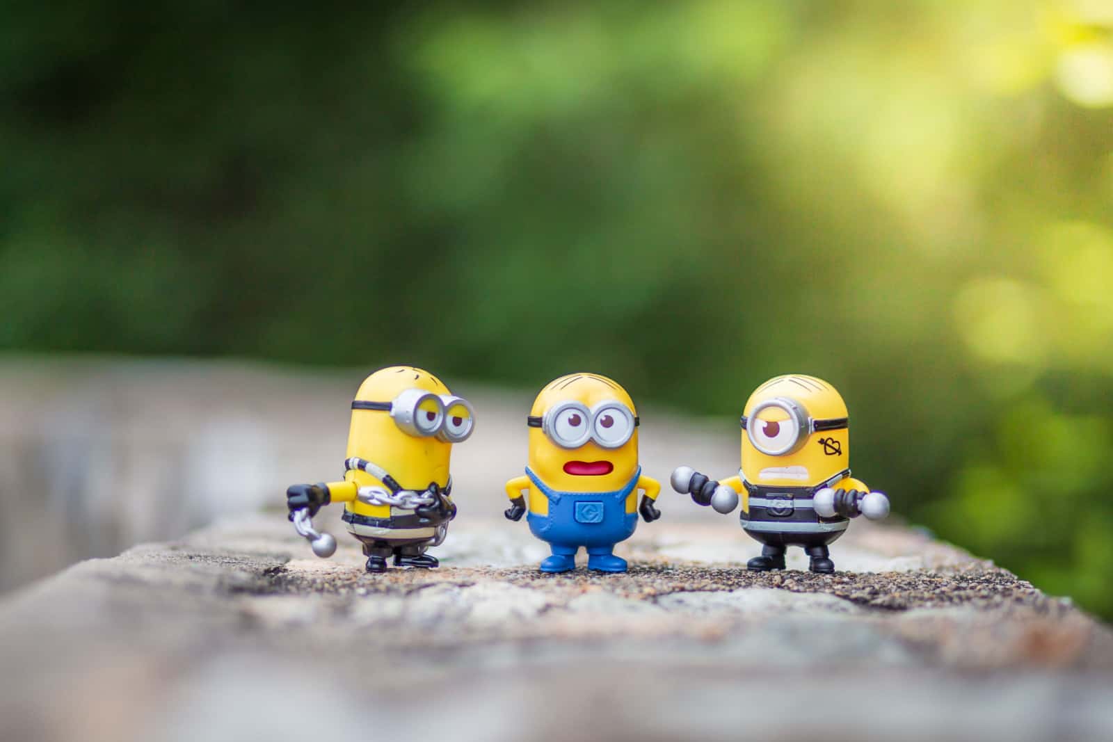 three minion figurines from minion franchise