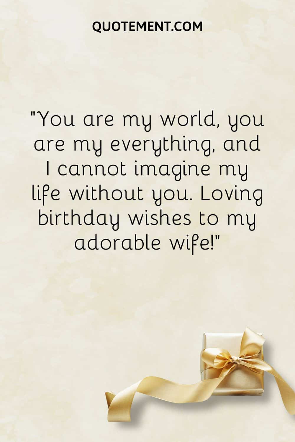 “You are my world, you are my everything, and I cannot imagine my life without you. Loving birthday wishes to my adorable wife!”