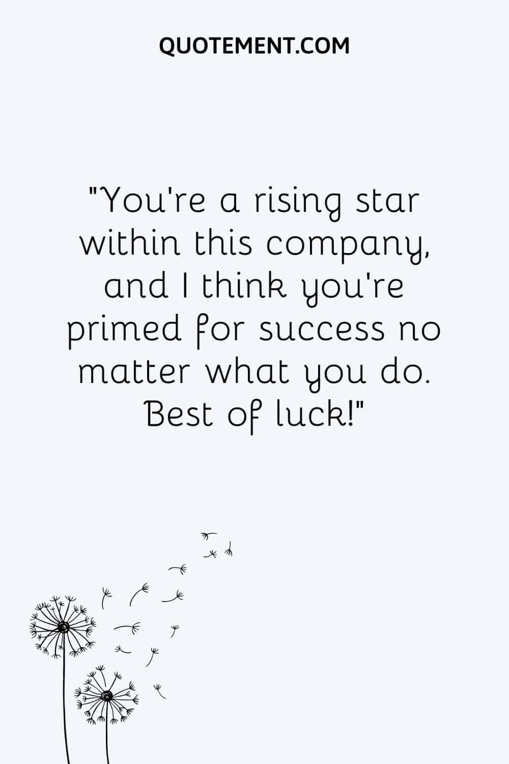“You're a rising star within this company, and I think you're primed for success no matter what you do. Best of luck!”