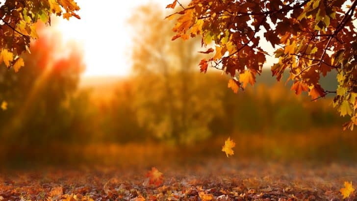 110 Magical October Quotes Capturing The Beauty Of Fall