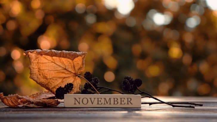 130 November Quotes To Embrace Change And See Magic In It