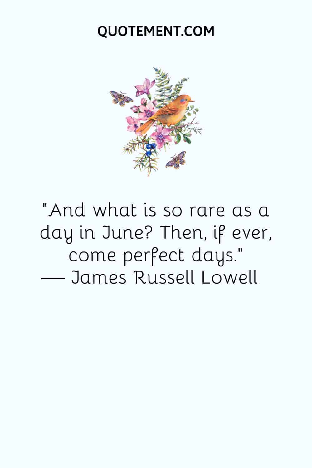 "Y lo que es tan raro como un día de junio Luego, si acaso, vienen los días perfectos". - James Russell Lowell