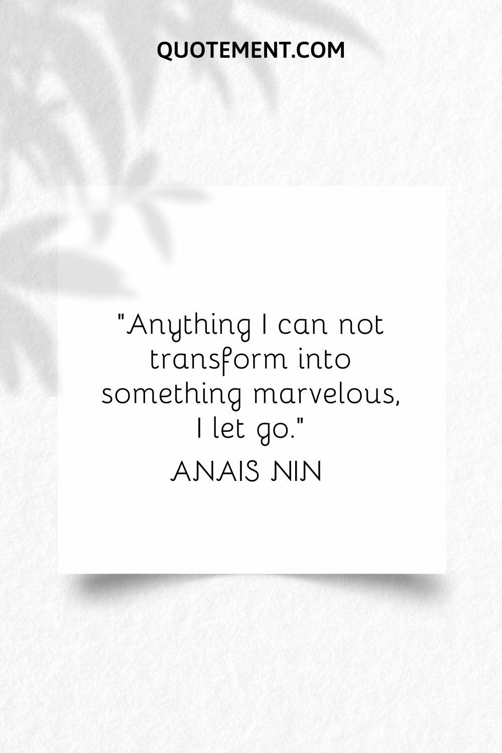 “Anything I can not transform into something marvelous, I let go.” — Anais Nin