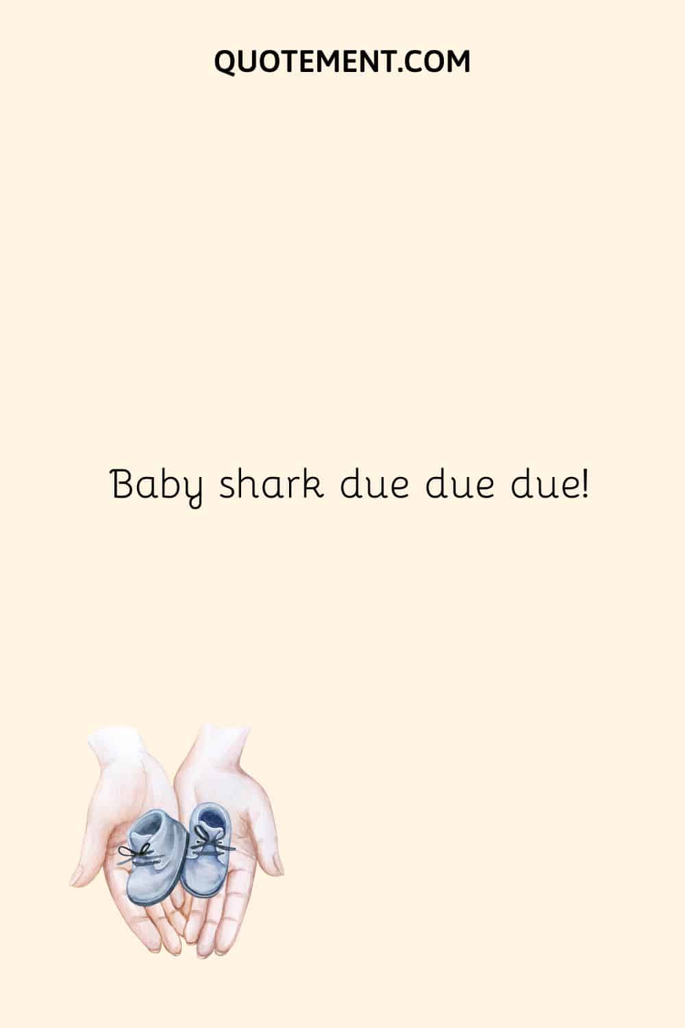 Baby shark due due due