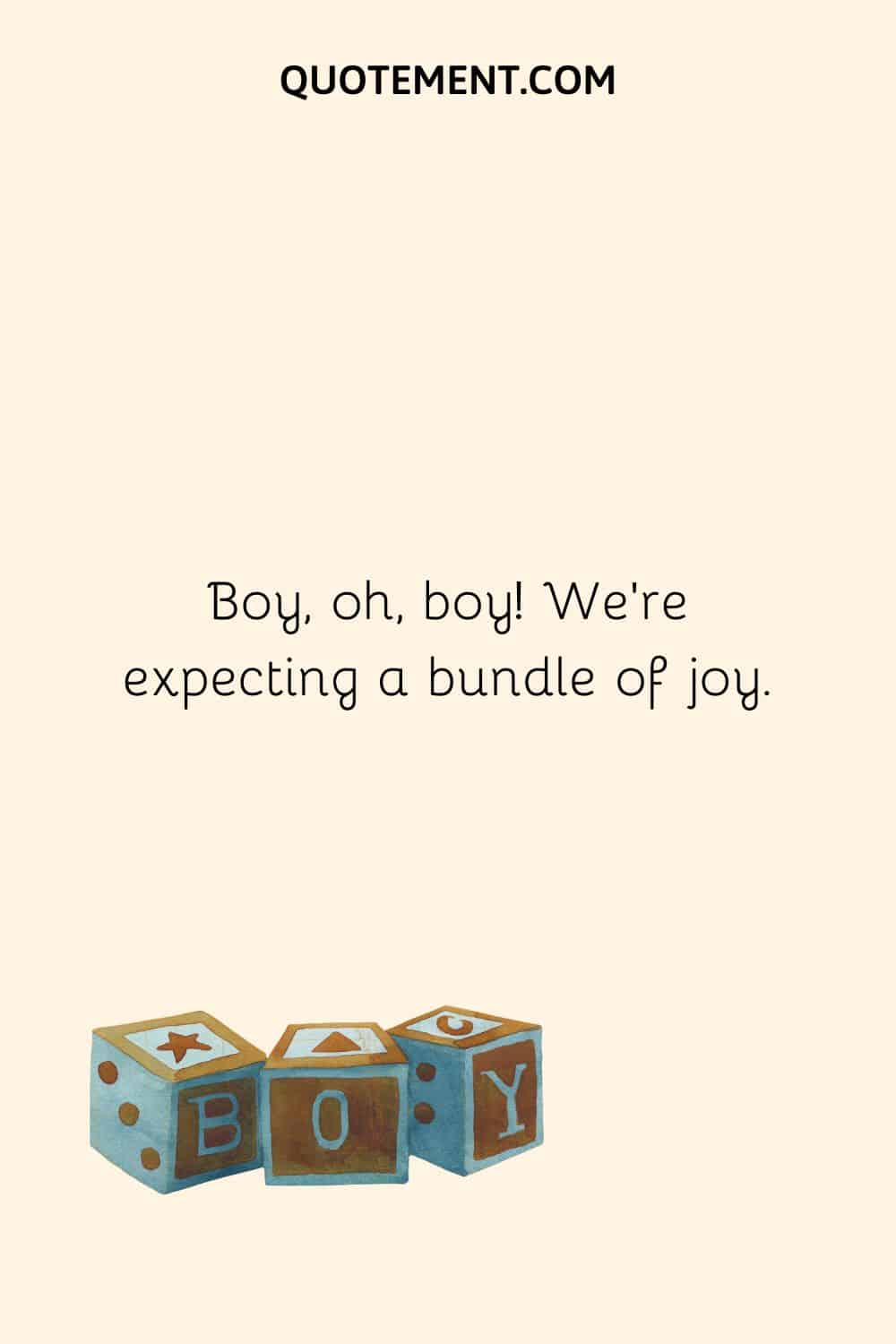 Boy, oh, boy! We’re expecting a bundle of joy.