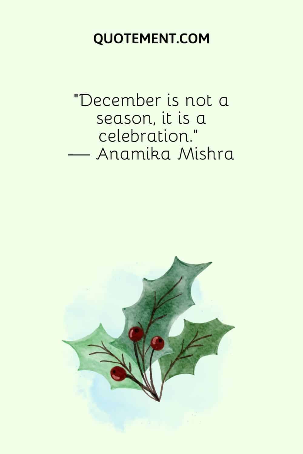 "Diciembre no es una estación, es una celebración". - Anamika Mishra