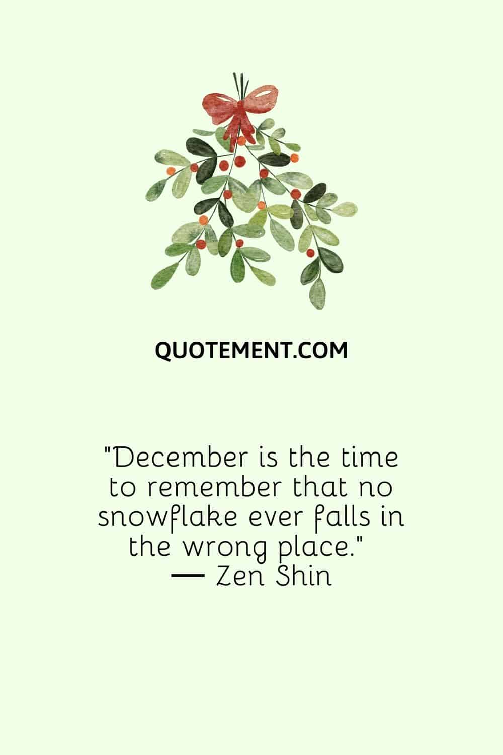 "Diciembre es el momento de recordar que ningún copo de nieve cae nunca en el lugar equivocado". - Zen Shin