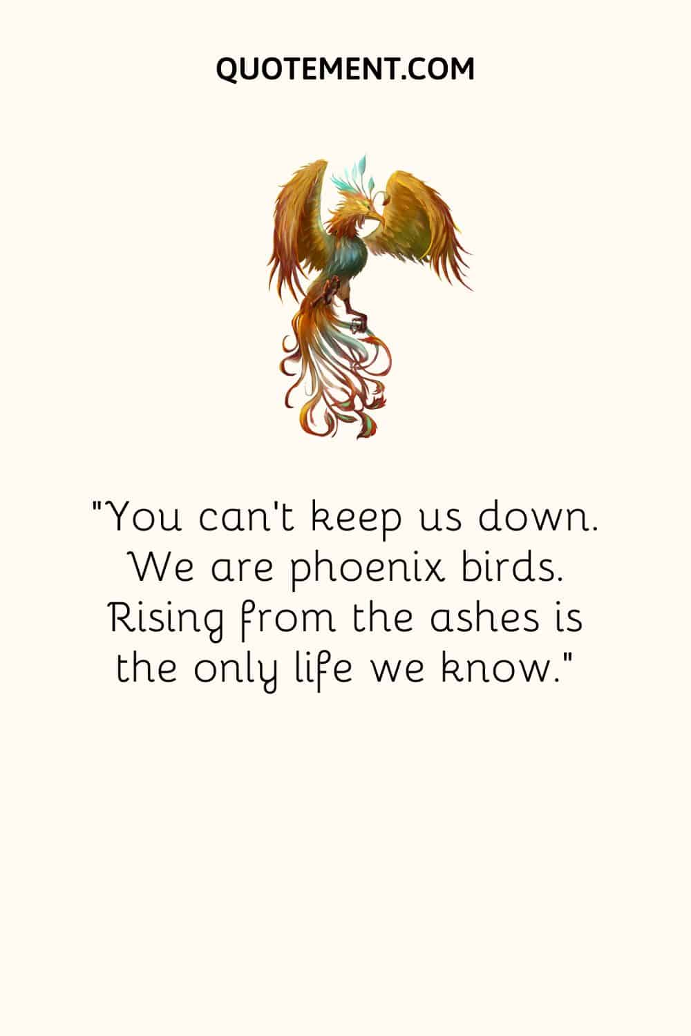 Encouraging phoenix rises from the ashes quote and phoenix.