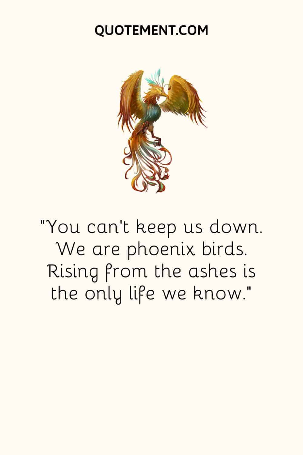 phoenix bird rising from the ashes