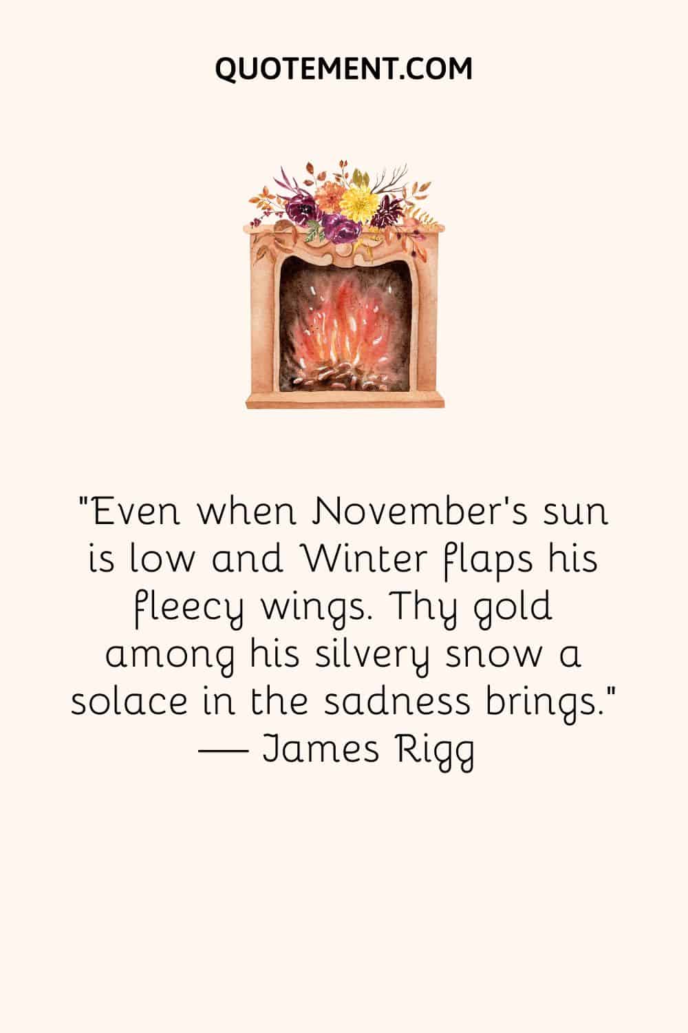 Even when November’s sun is low and Winter flaps his fleecy wings. Thy gold among his silvery snow a solace in the sadness brings