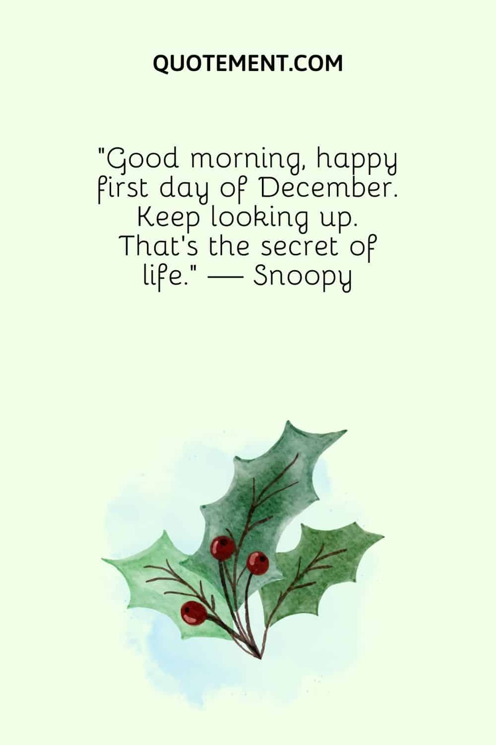 “Good morning, happy first day of December. Keep looking up. That’s the secret of life.” — Snoopy