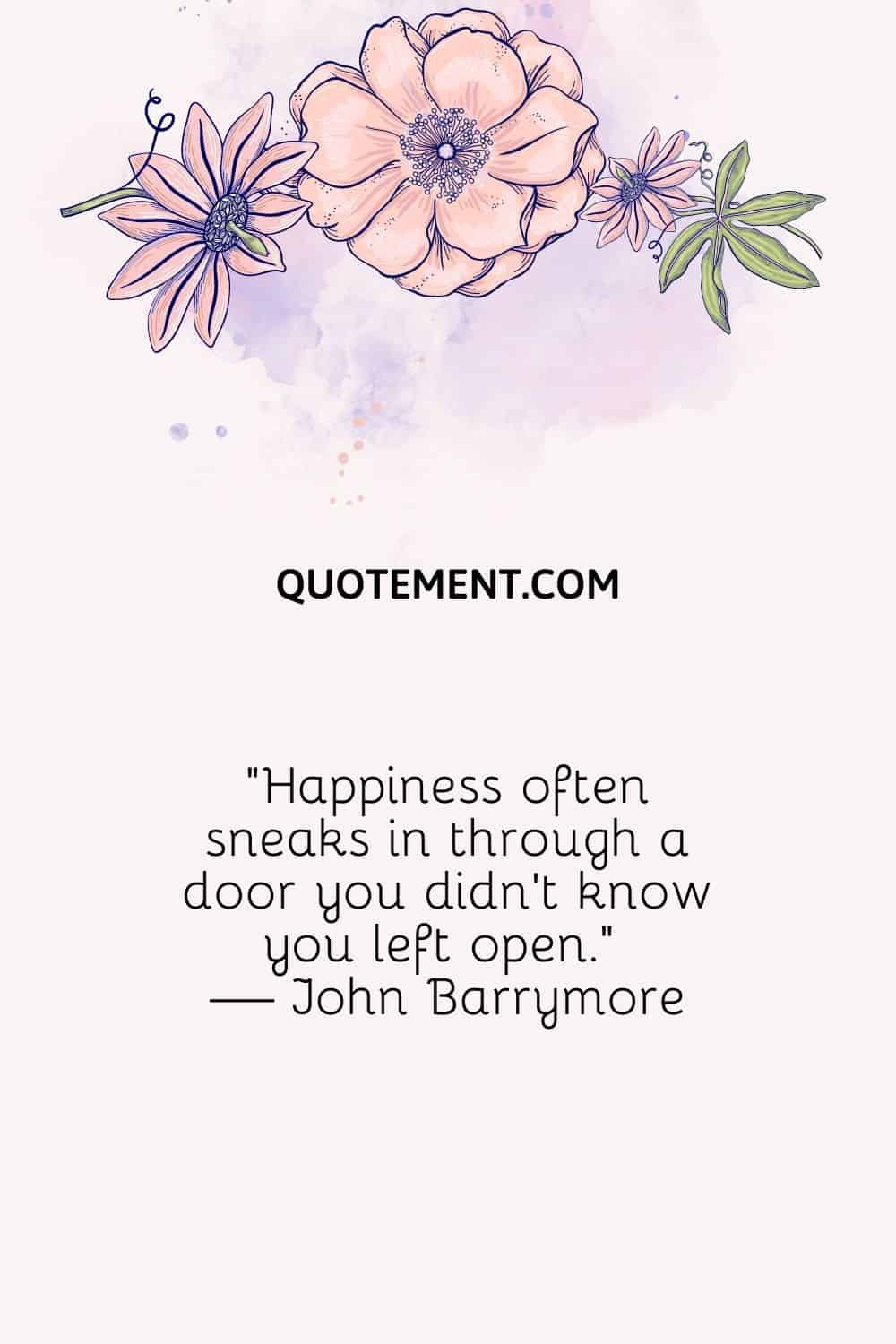 La felicidad suele colarse por una puerta que no sabías que habías dejado abierta. - John Barrymore