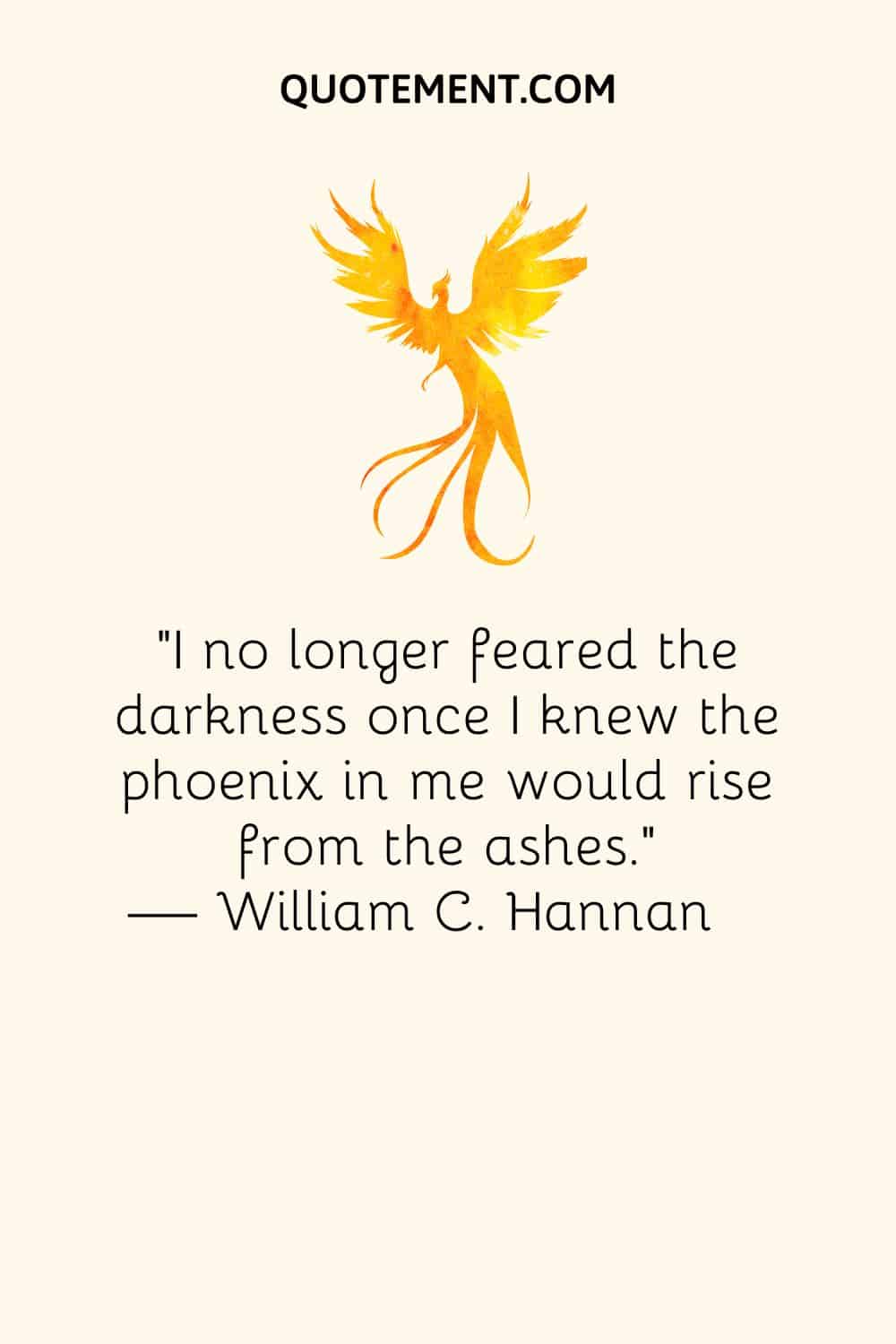 I no longer feared the darkness once I knew the phoenix in me would rise from the ashes