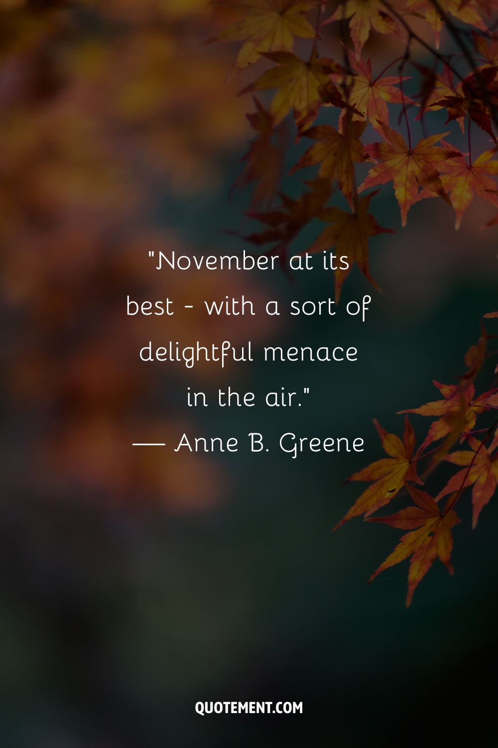 Image of vibrant orange leaves representing the loveliest November quote.
