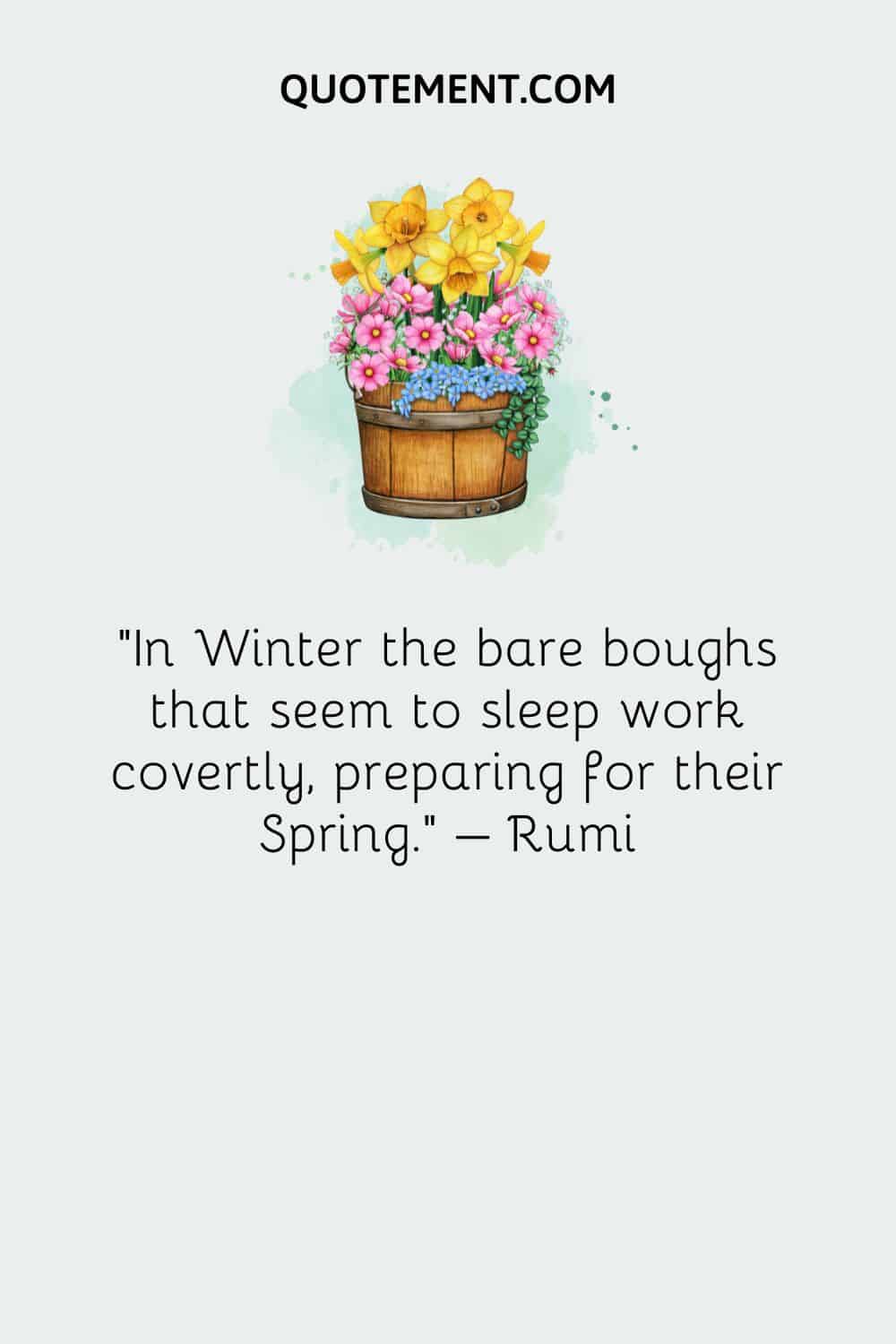In Winter the bare boughs that seem to sleep work covertly, preparing for their Spring. – Rumi