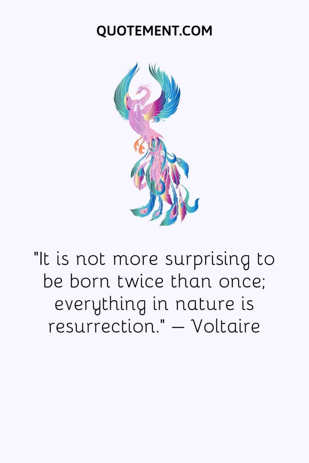 It is not more surprising to be born twice than once; everything in nature is resurrection
