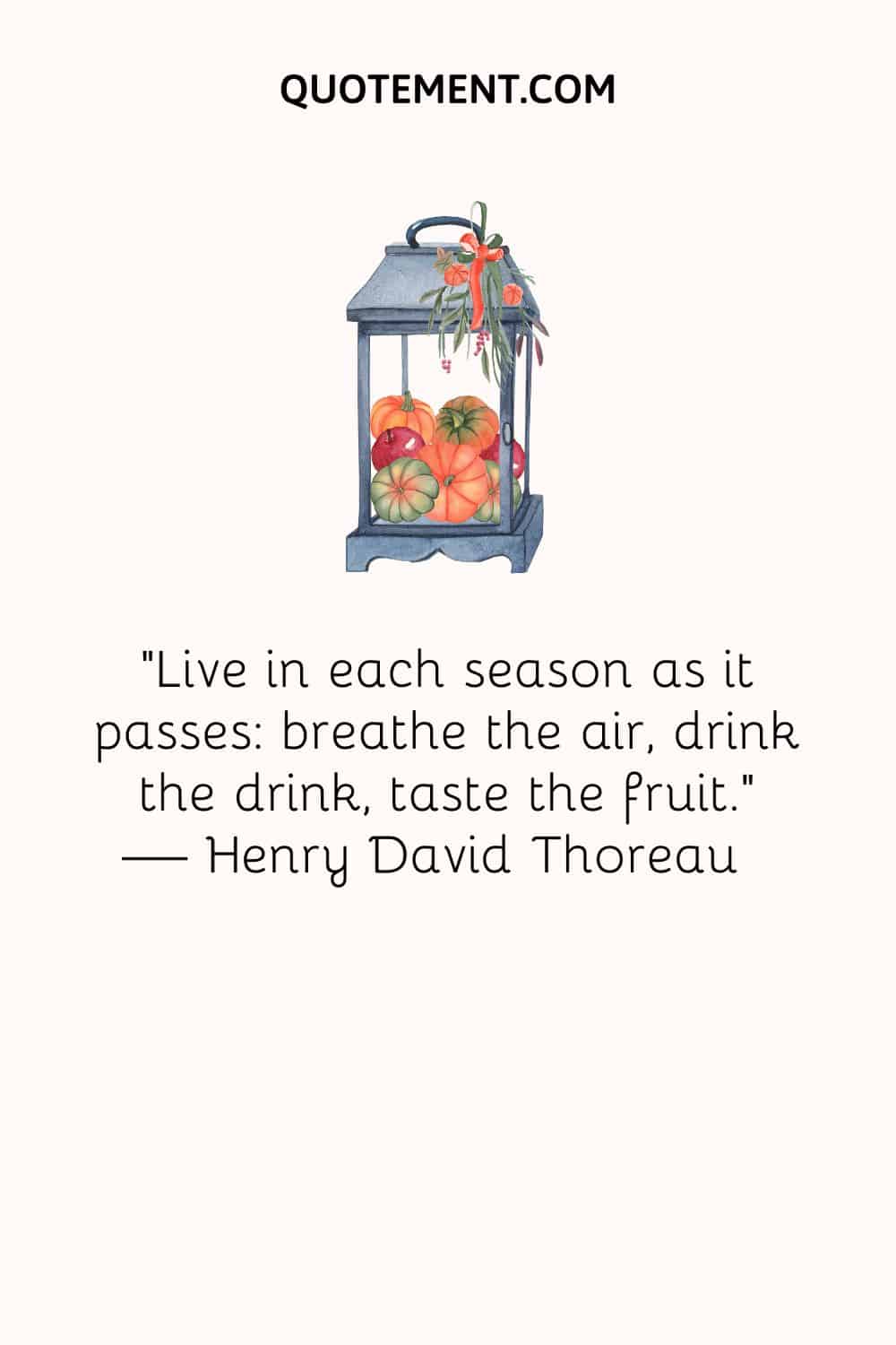 “Live in each season as it passes breathe the air, drink the drink, taste the fruit.” — Henry David Thoreau