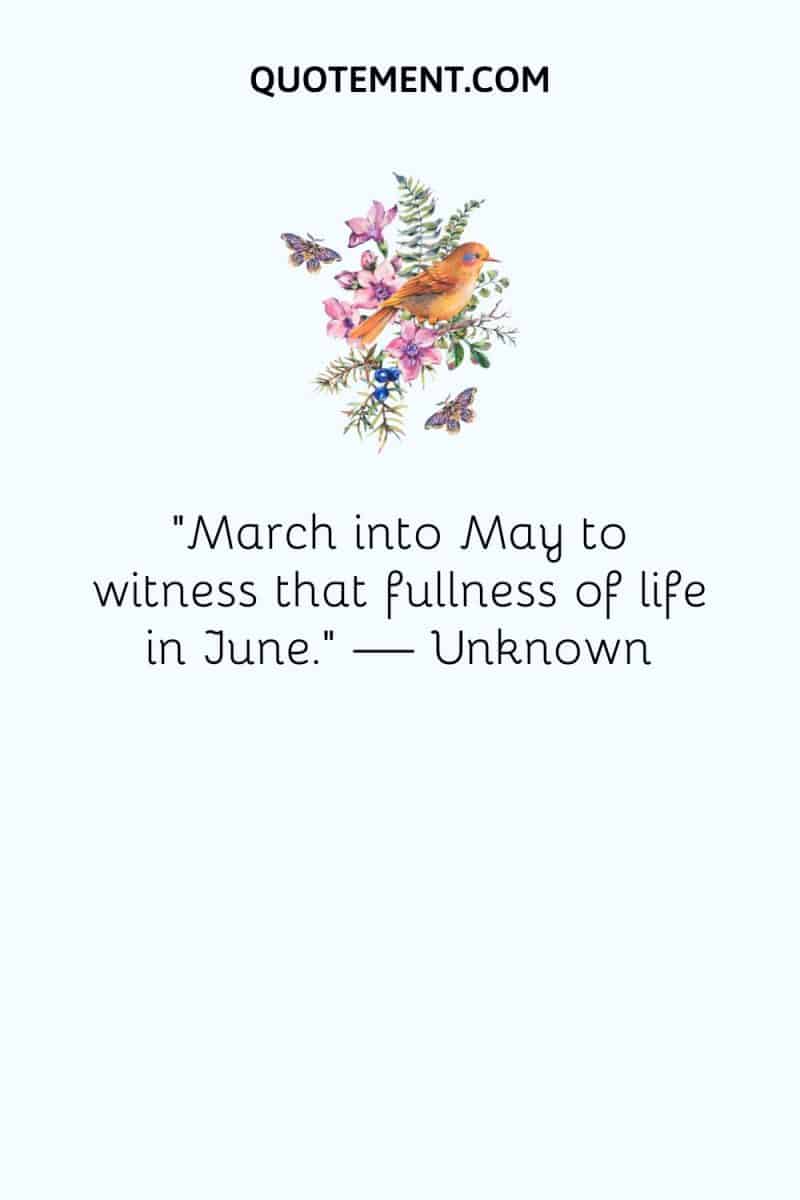 80 Inspirational June Quotes To Embrace Summer Vibes