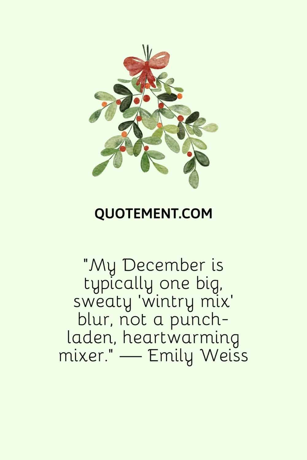 My December is typically one big, sweaty 'wintry mix' blur, not a punch-laden, heartwarming mixer. — Emily Weiss