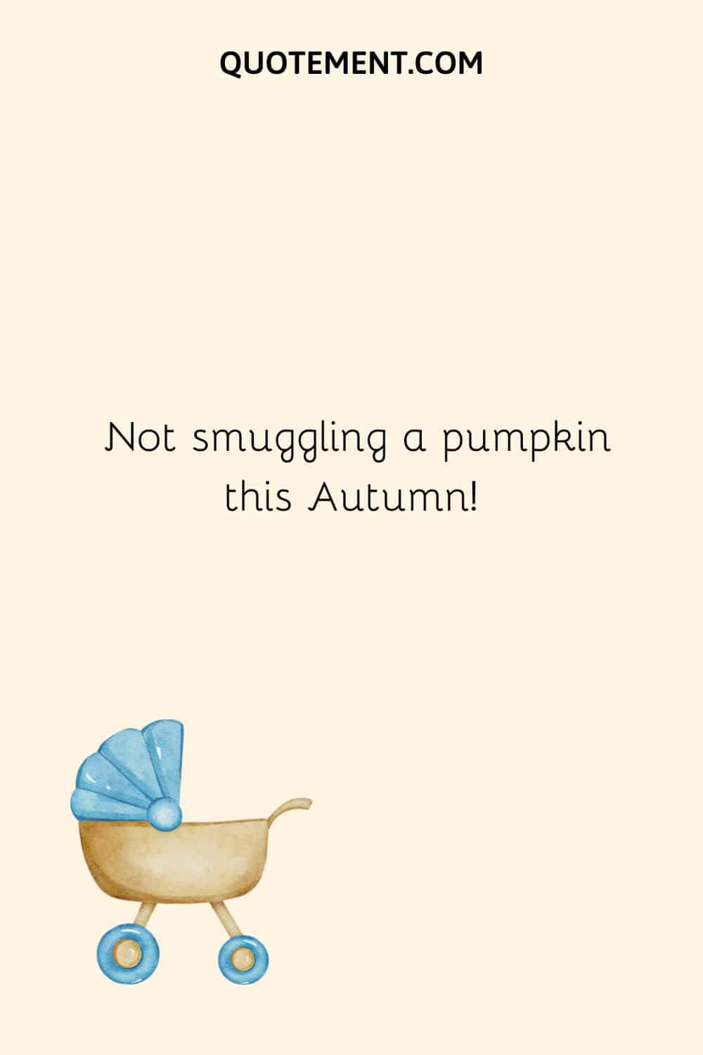 Not smuggling a pumpkin this Autumn!