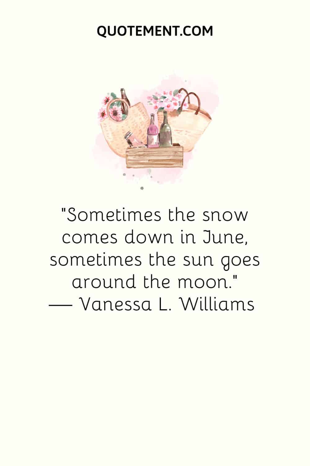“Sometimes the snow comes down in June, sometimes the sun goes around the moon.” ― Vanessa L. Williams