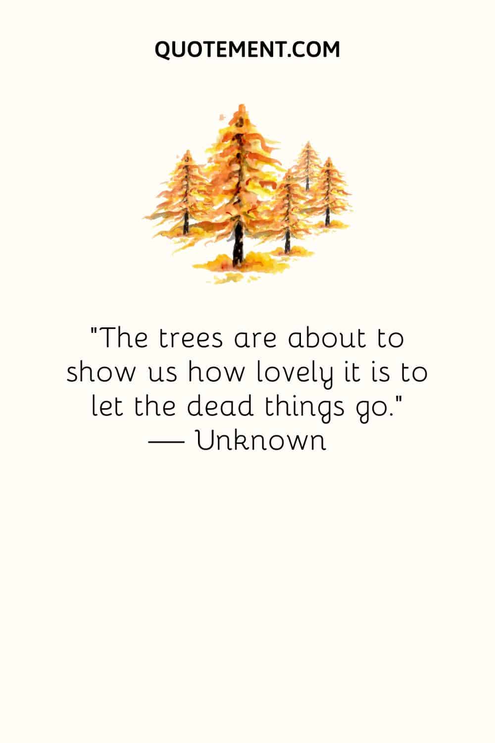 “The trees are about to show us how lovely it is to let the dead things go.” — Unknown