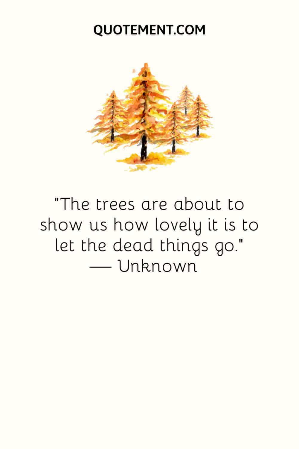 "Los árboles están a punto de mostrarnos lo hermoso que es dejar marchar a las cosas muertas". - Desconocido