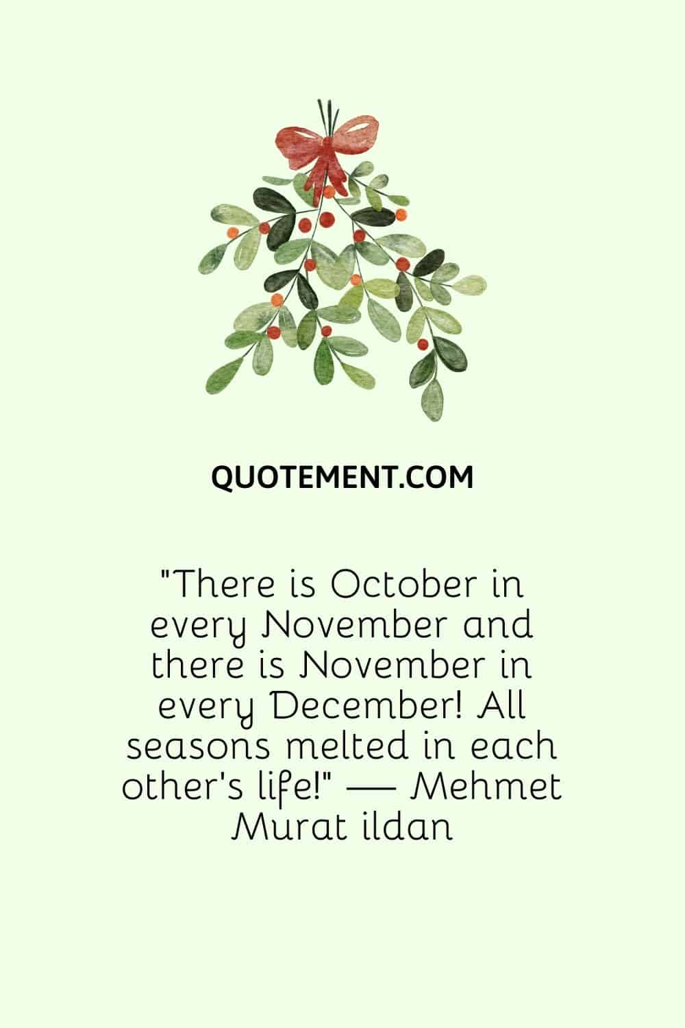 “There is October in every November and there is November in every December! All seasons melted in each other’s life!” — Mehmet Murat ildan