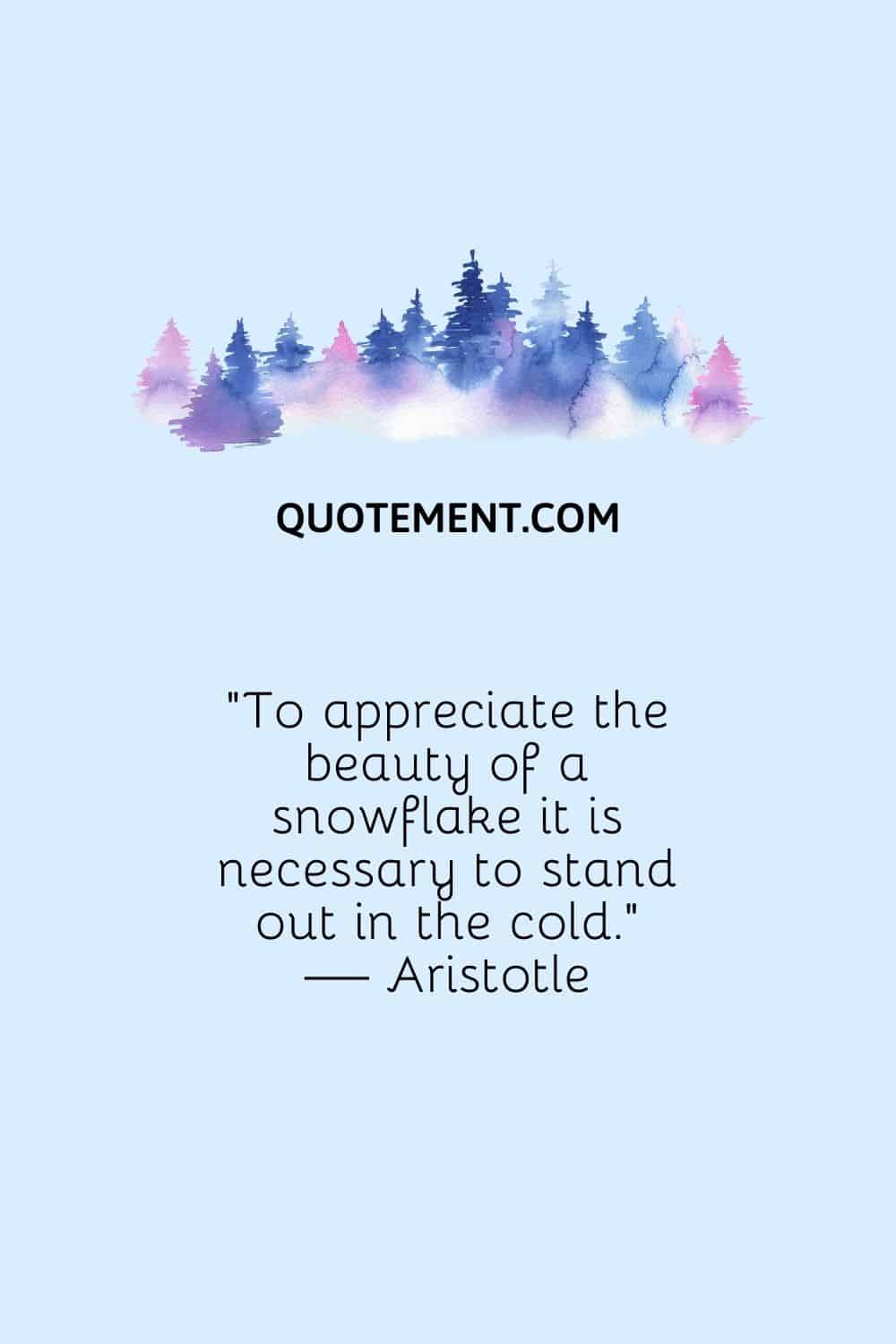 “To appreciate the beauty of a snowflake it is necessary to stand out in the cold.” — Aristotle